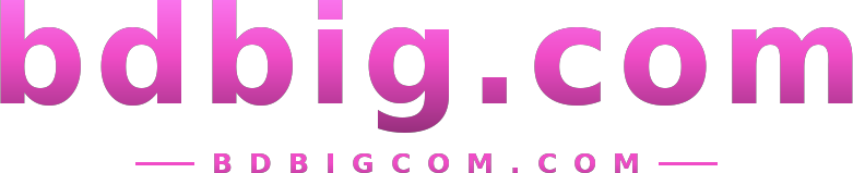 bdbig.com logo